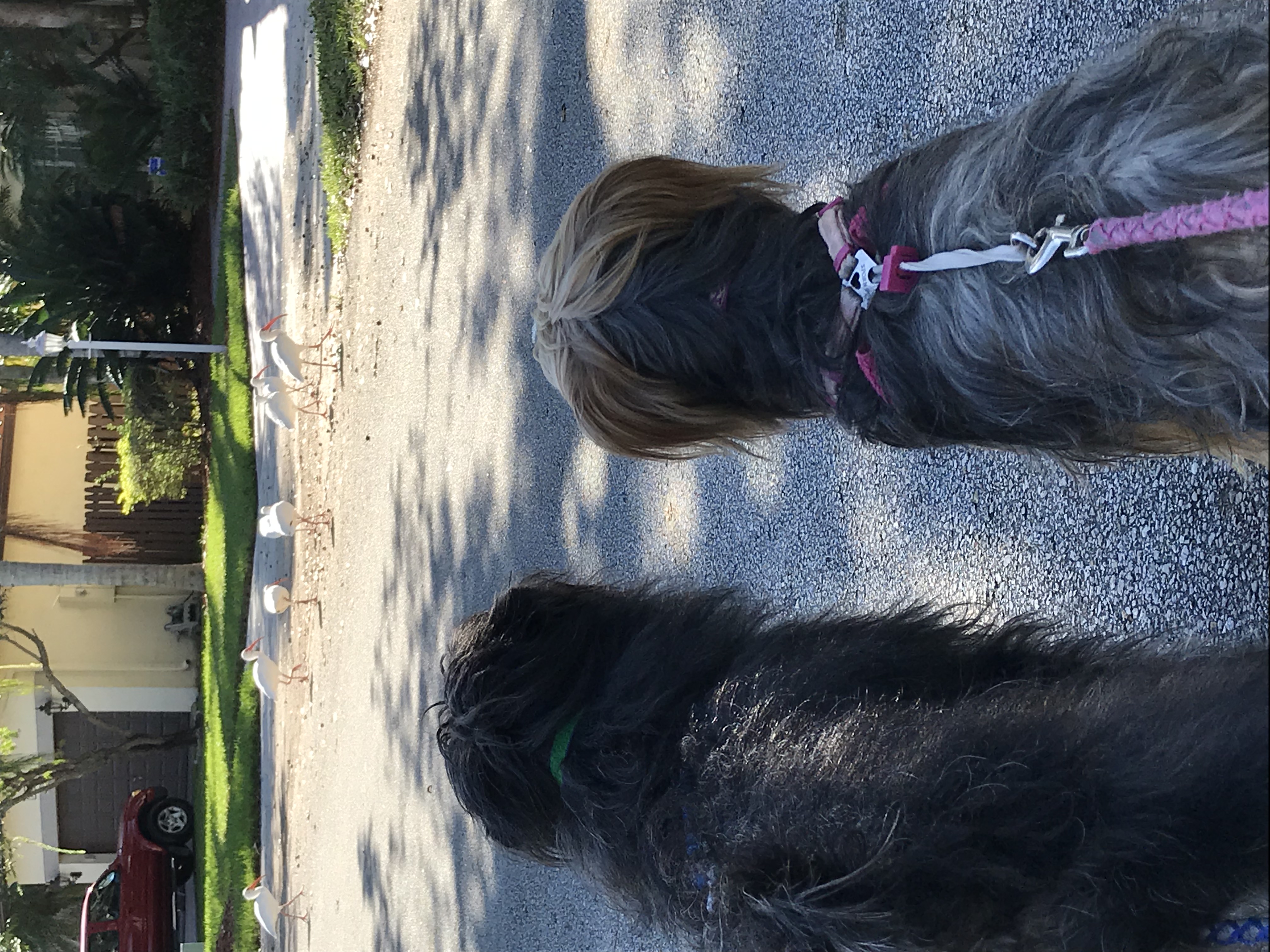 ./2018/13 - Miami/IMG_7780.JPG